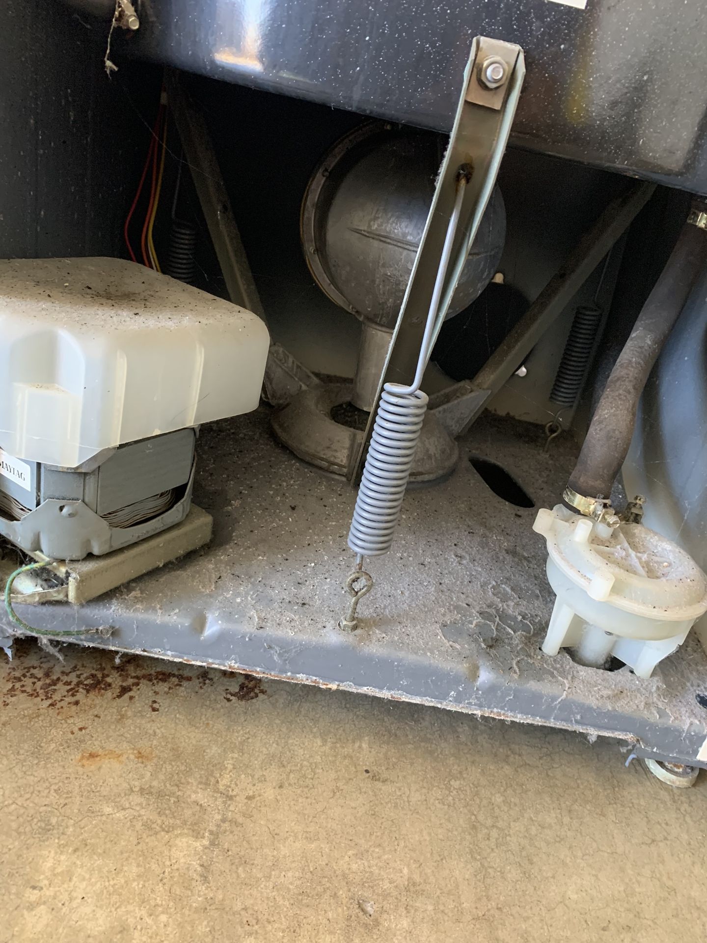 Maytag washer drain pump area
